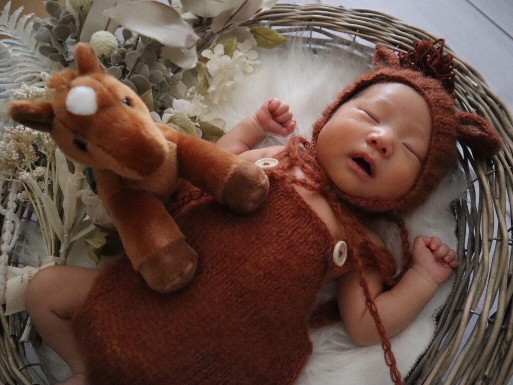2026年午年にぴったり、馬の衣装と馬のぬいぐるみのニューボーンフォト